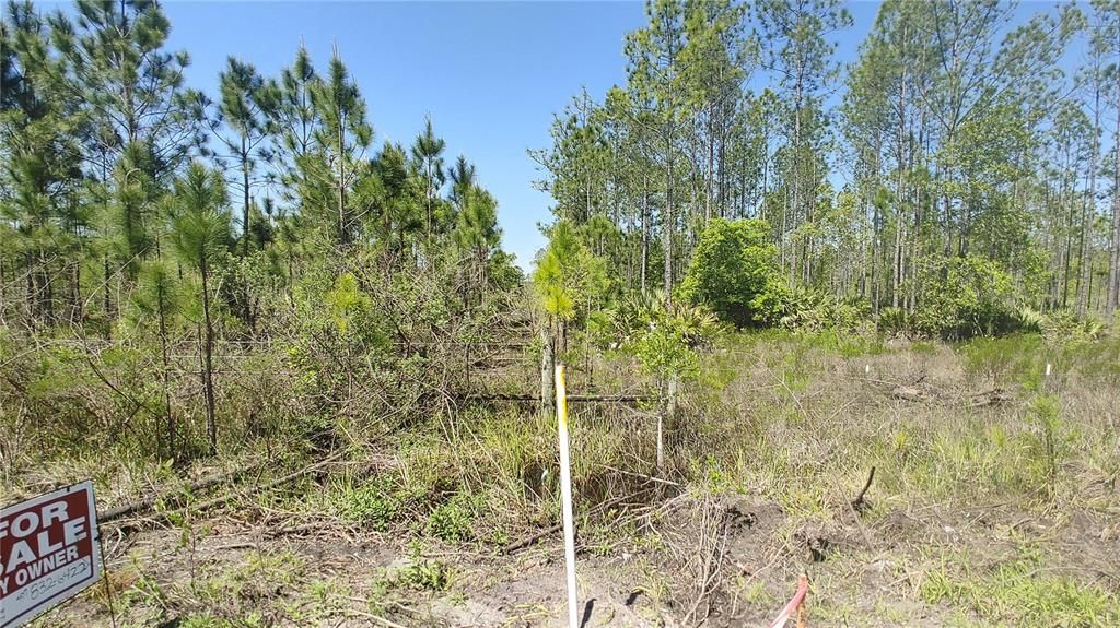 En Venta: $379,000 (25.38 acres)