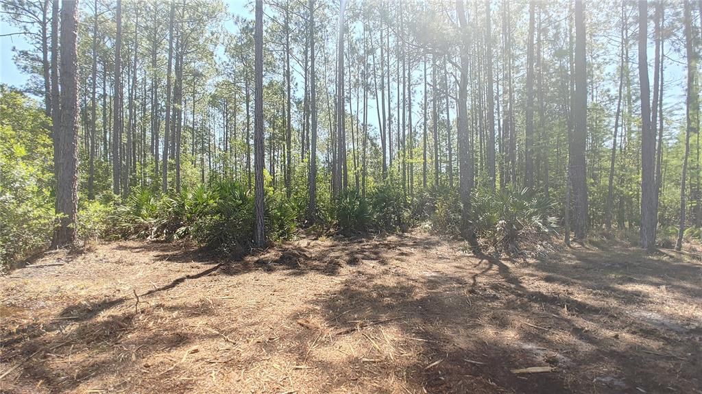En Venta: $379,000 (25.38 acres)