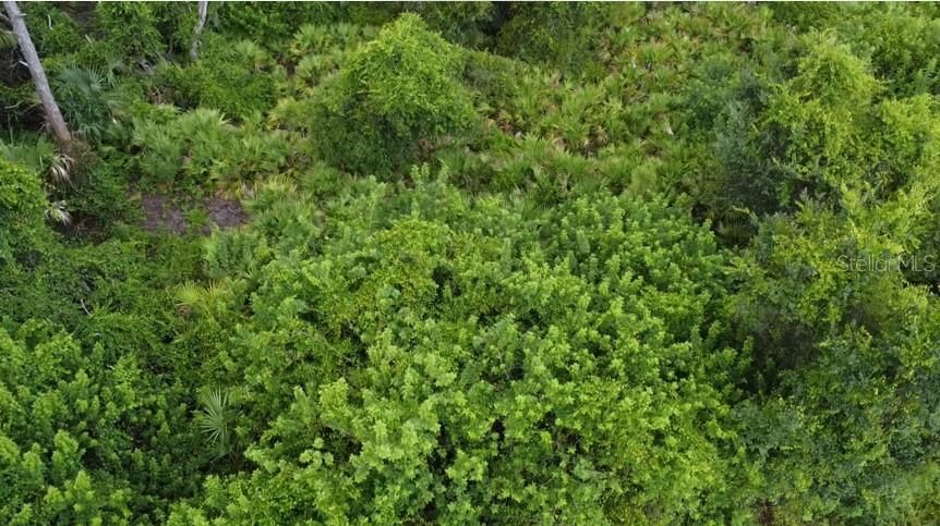 На продажу: $24,900 (0.31 acres)