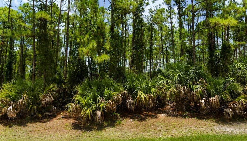 На продажу: $19,000 (0.22 acres)