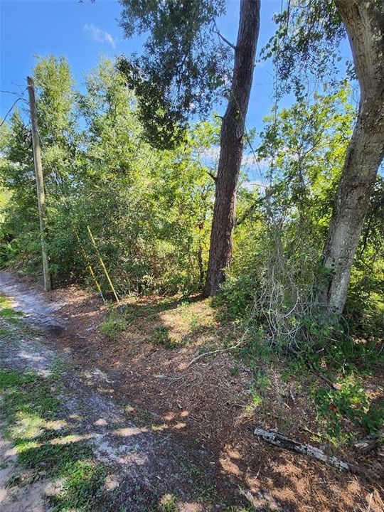 For Sale: $45,000 (0.26 acres)