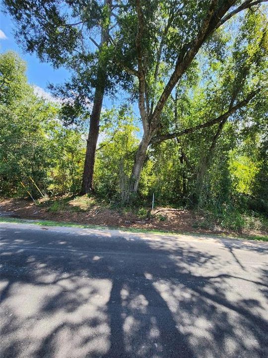 For Sale: $45,000 (0.26 acres)