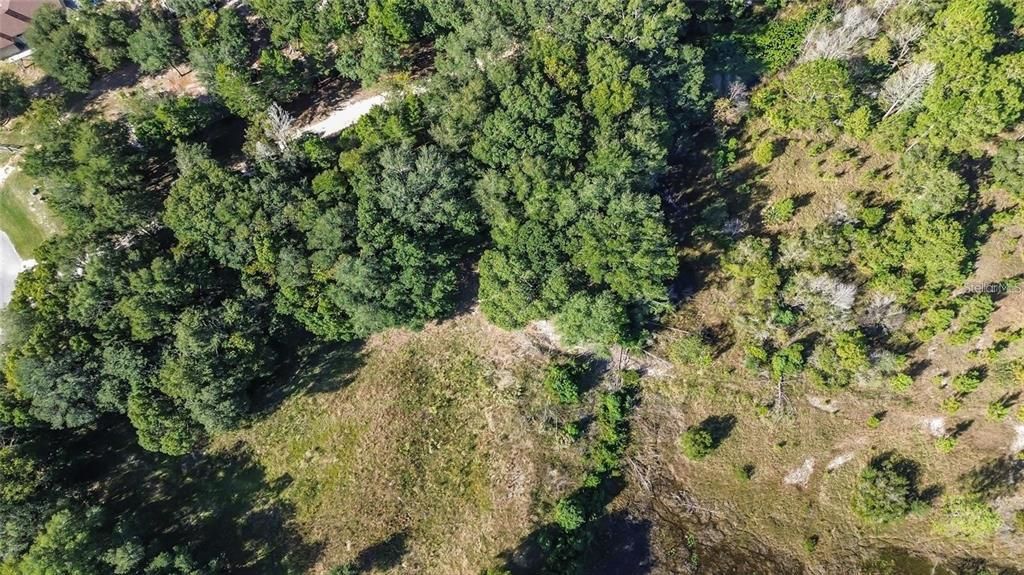For Sale: $375,000 (5.51 acres)