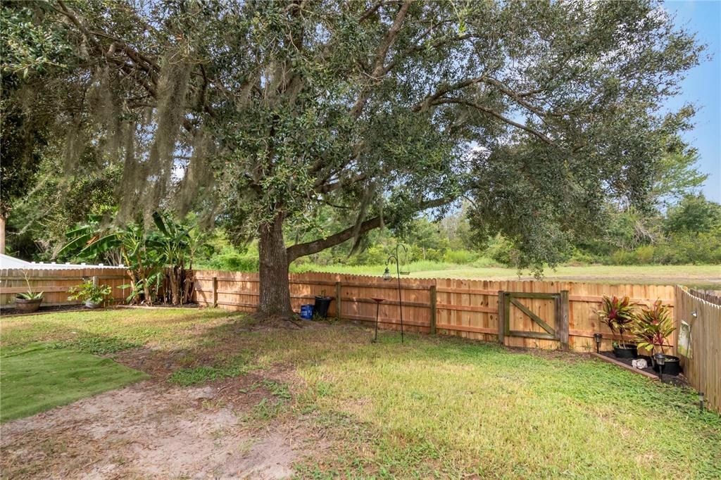 For Sale: $361,618 (3 beds, 2 baths, 2091 Square Feet)