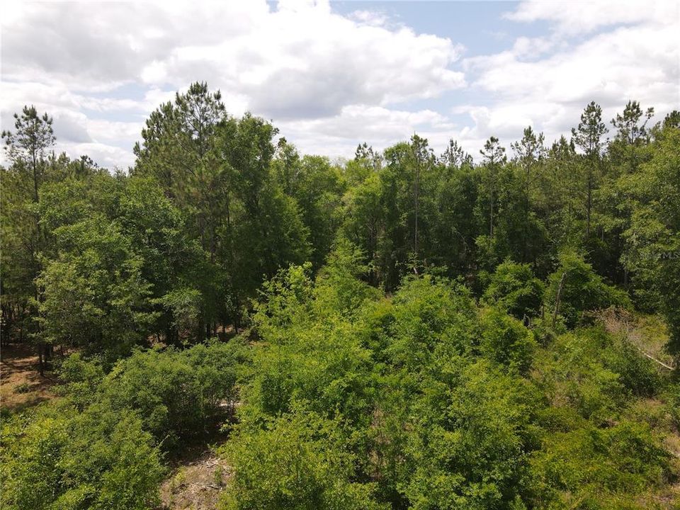 For Sale: $135,000 (9.00 acres)