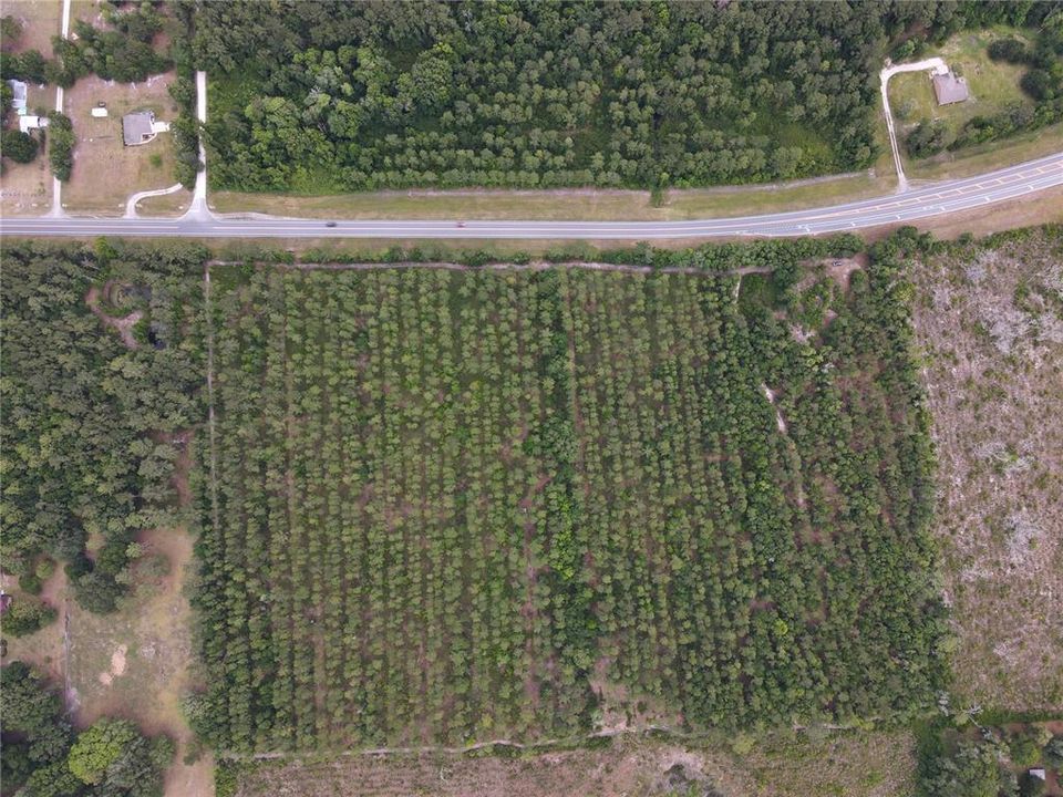 For Sale: $135,000 (9.00 acres)