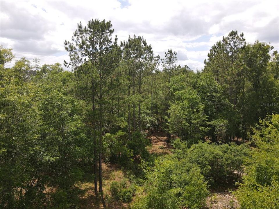 For Sale: $195,000 (13.00 acres)