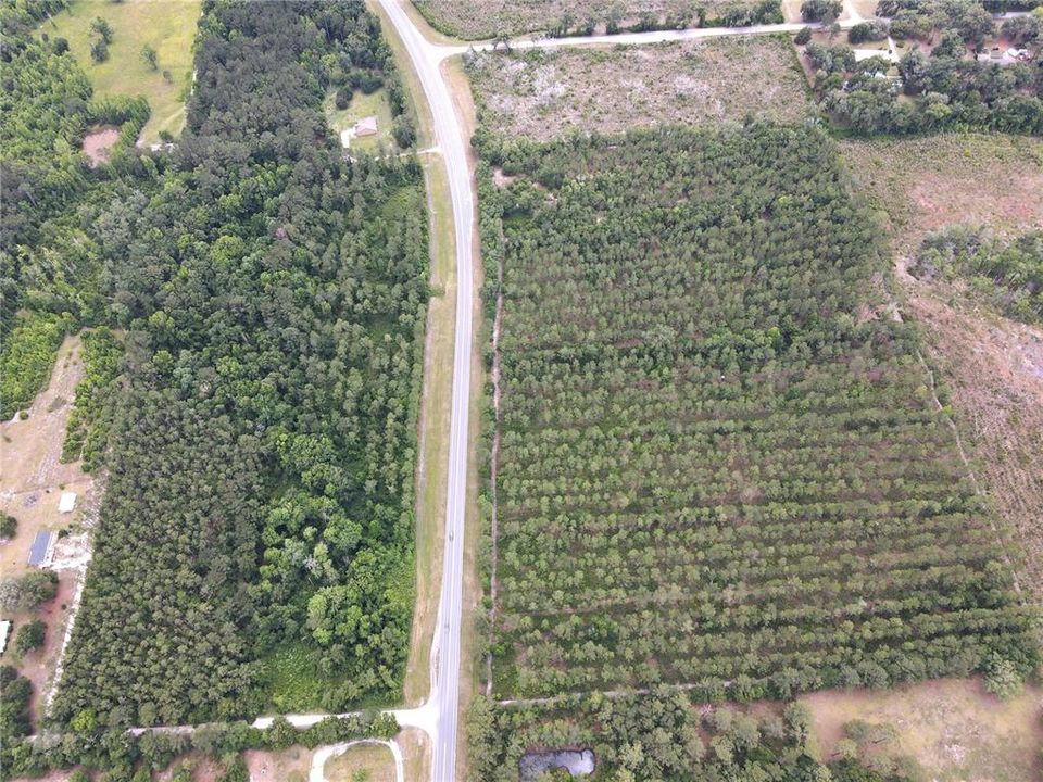 For Sale: $195,000 (13.00 acres)