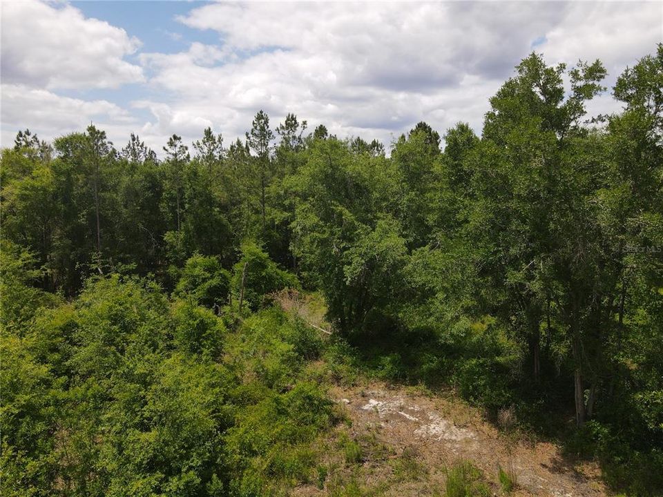 For Sale: $195,000 (13.00 acres)