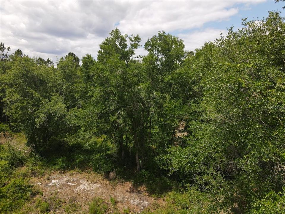 En Venta: $195,000 (13.00 acres)