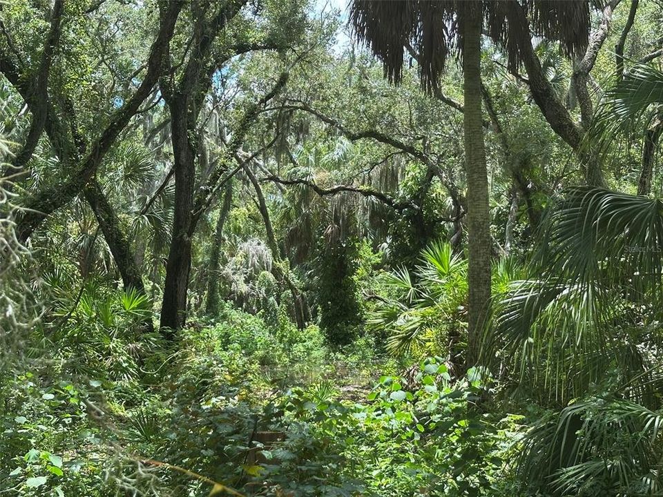 : $1,890,000 (4.19 acres)