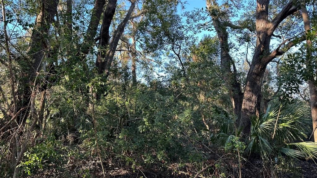 : $1,890,000 (4.19 acres)