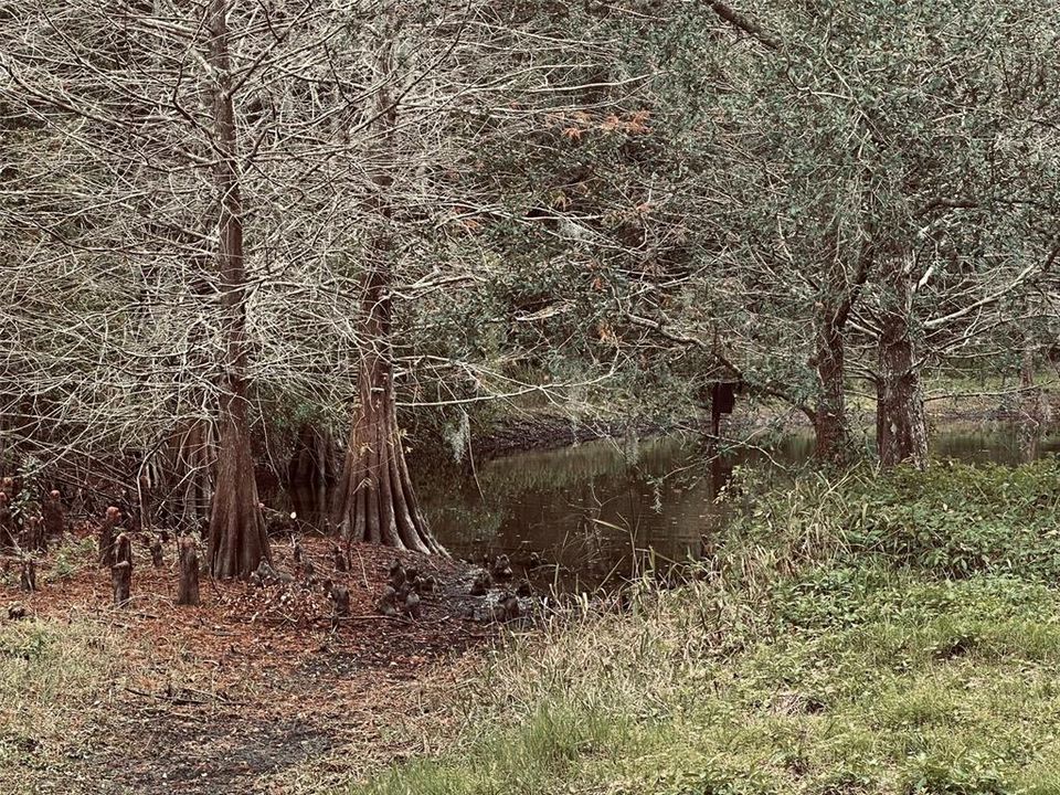 : $1,890,000 (4.19 acres)