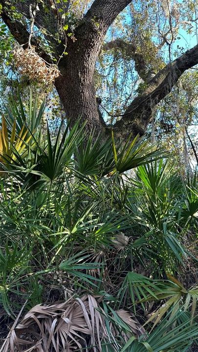: $1,890,000 (4.19 acres)