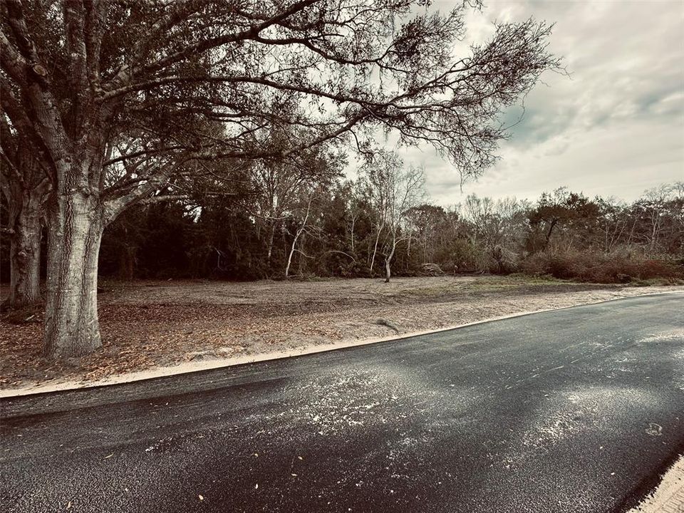 : $1,890,000 (4.19 acres)