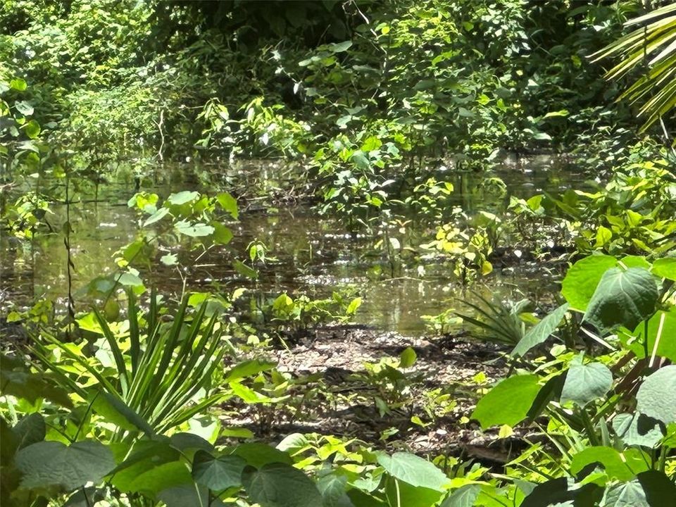 : $1,890,000 (4.19 acres)
