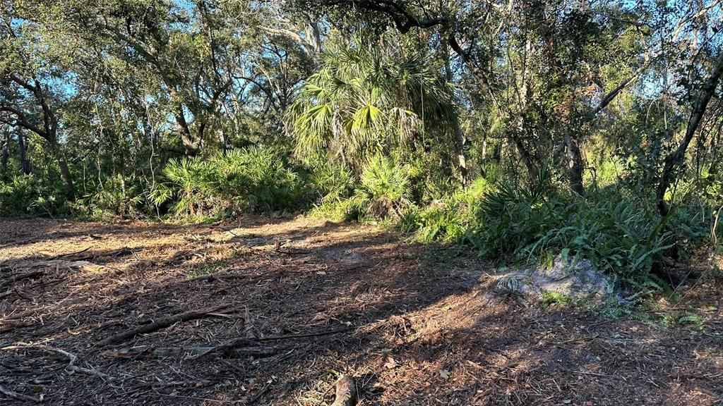 : $1,890,000 (4.19 acres)
