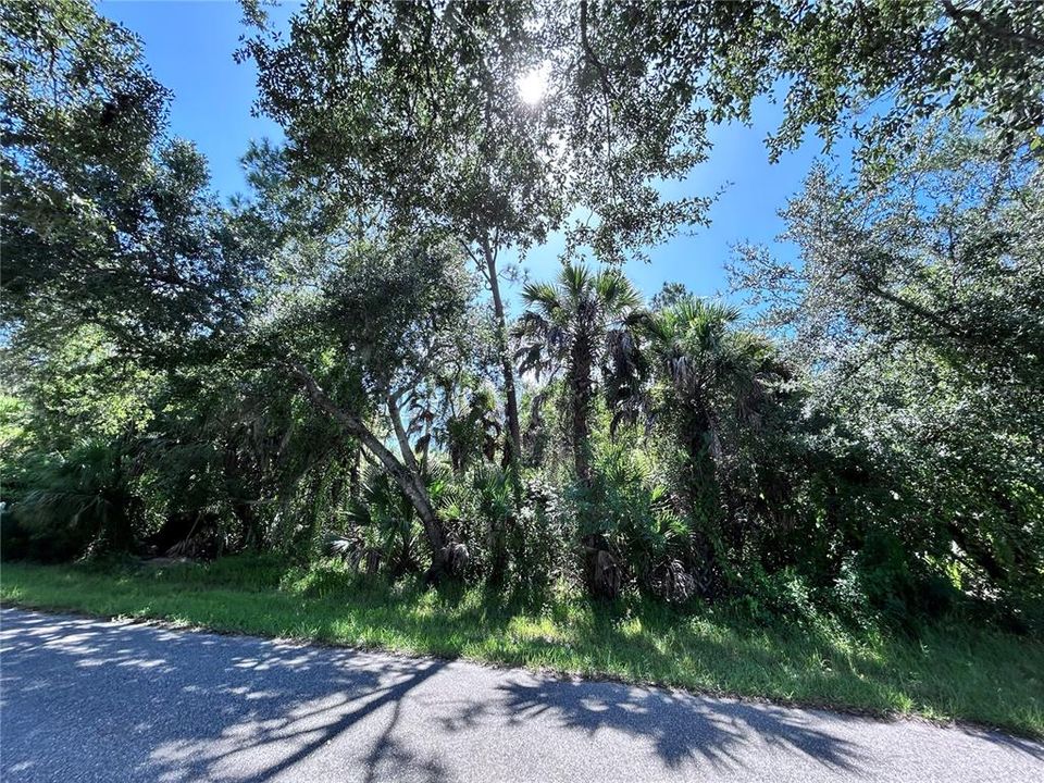 待售: $23,000 (0.23 acres)