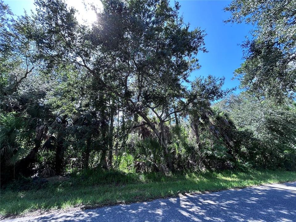 待售: $23,000 (0.23 acres)
