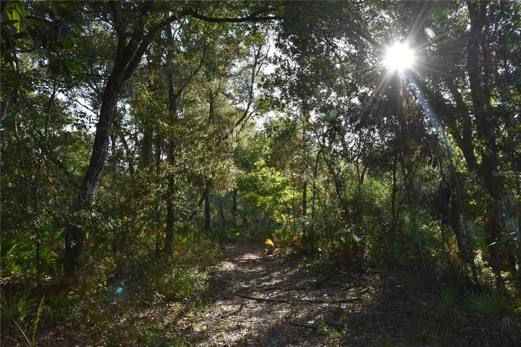 En Venta: $525,000 (2 camas, 1 baños, 1568 Pies cuadrados)