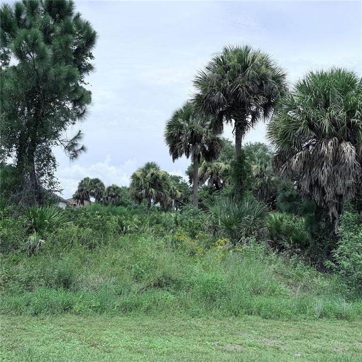 For Sale: $18,000 (0.23 acres)