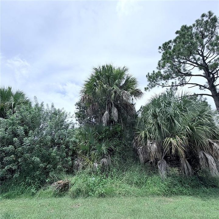 For Sale: $18,000 (0.23 acres)