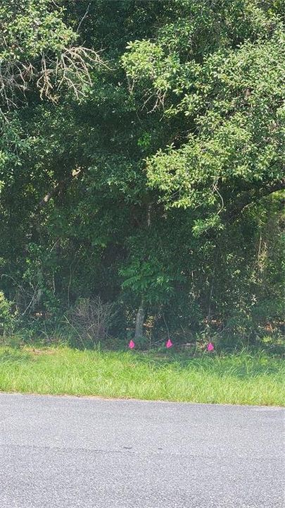 For Sale: $40,000 (0.24 acres)