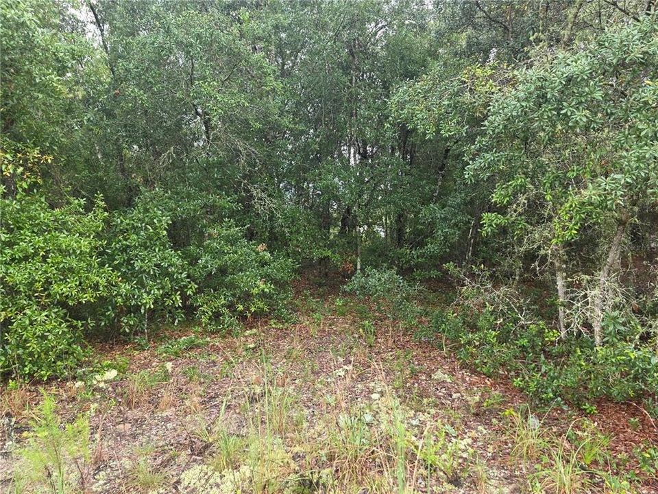 待售: $19,900 (0.24 acres)