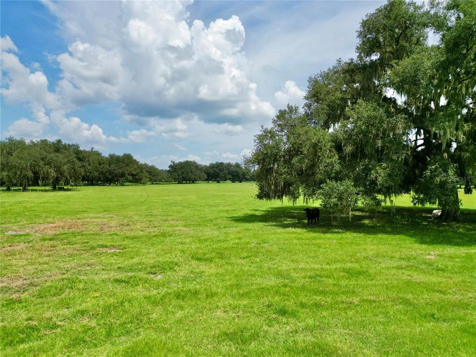 For Sale: $399,000 (10.08 acres)
