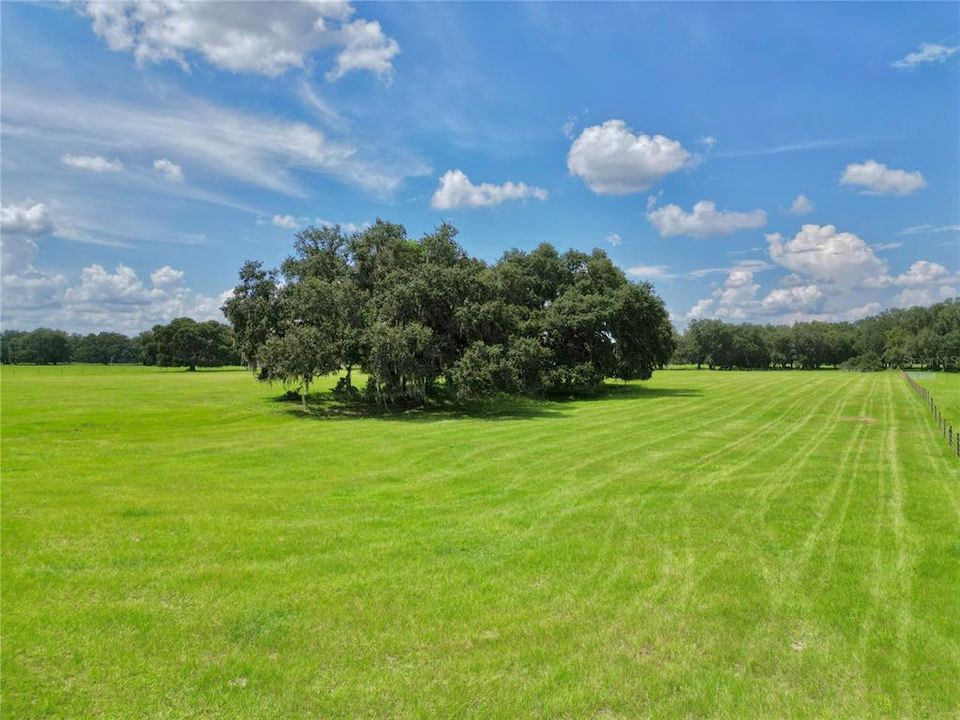 For Sale: $399,000 (10.08 acres)