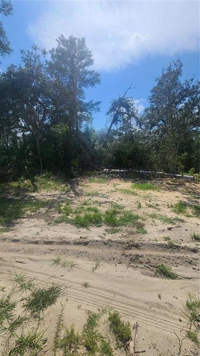 For Sale: $40,000 (0.23 acres)