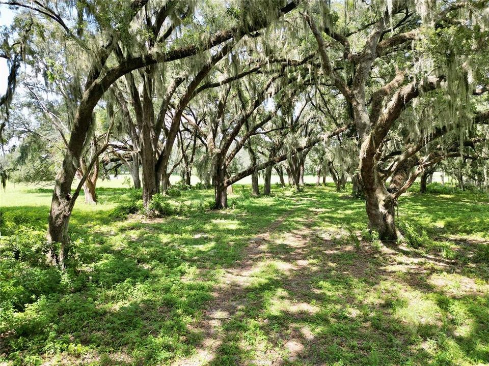 For Sale: $379,000 (10.02 acres)