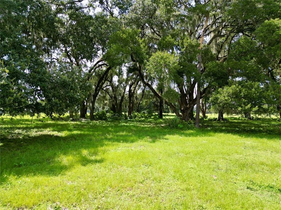 For Sale: $379,000 (10.02 acres)