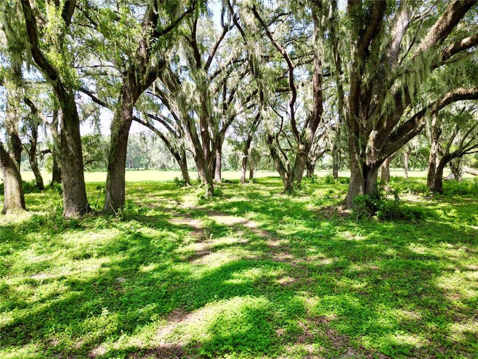 For Sale: $379,000 (10.02 acres)