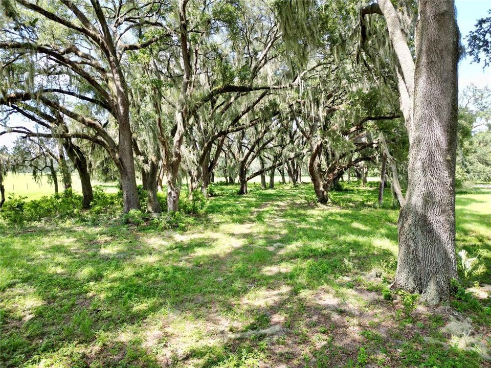 For Sale: $379,000 (10.02 acres)