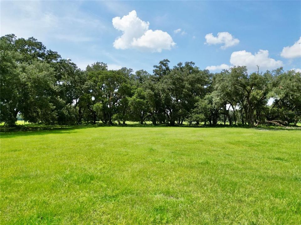 For Sale: $379,000 (10.02 acres)