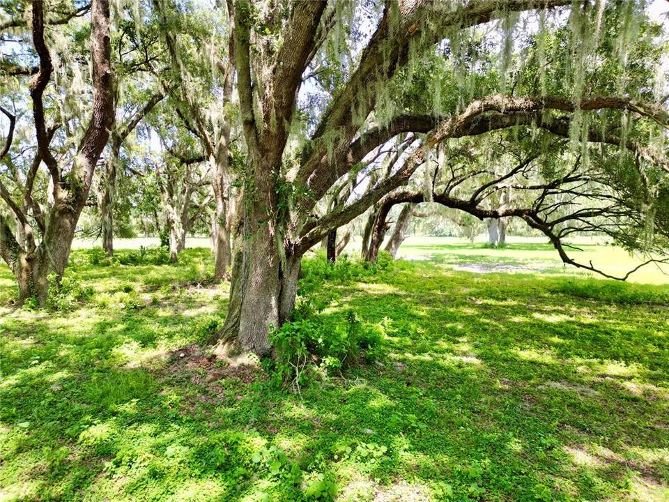 For Sale: $379,000 (10.02 acres)