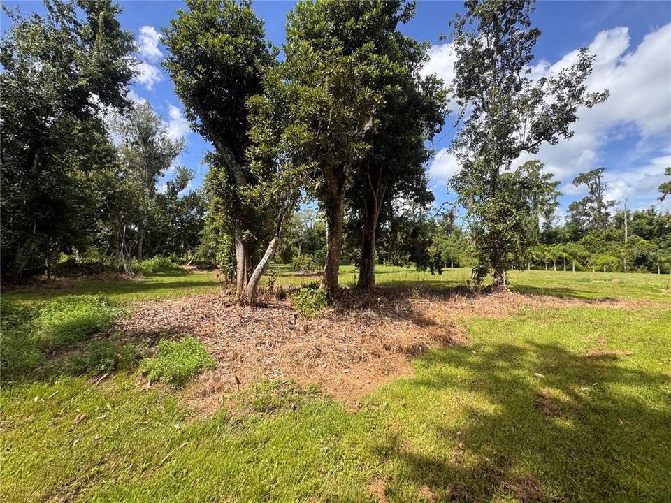 For Sale: $630,000 (5.00 acres)