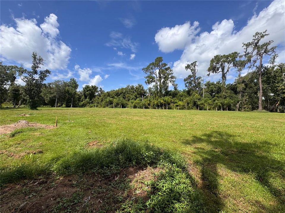 For Sale: $630,000 (5.00 acres)