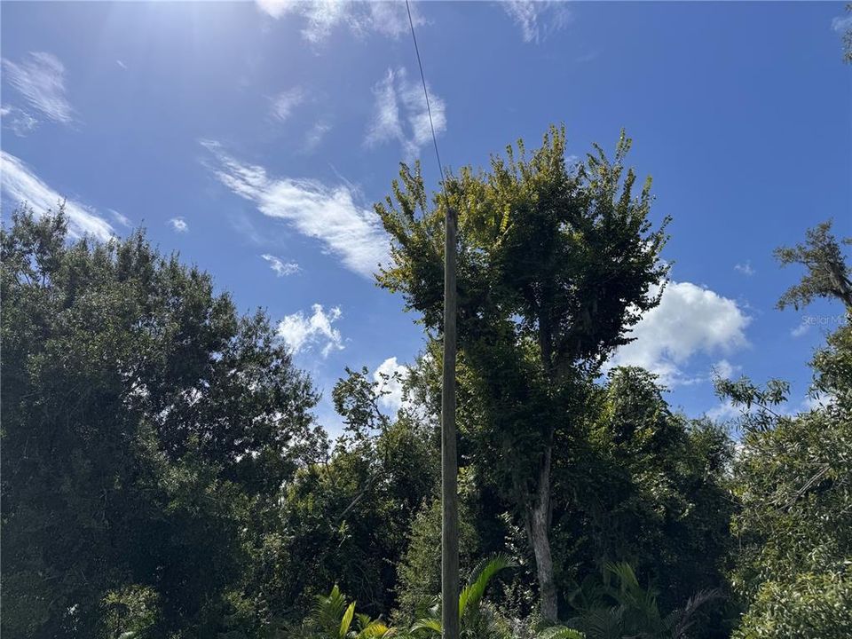 For Sale: $630,000 (5.00 acres)