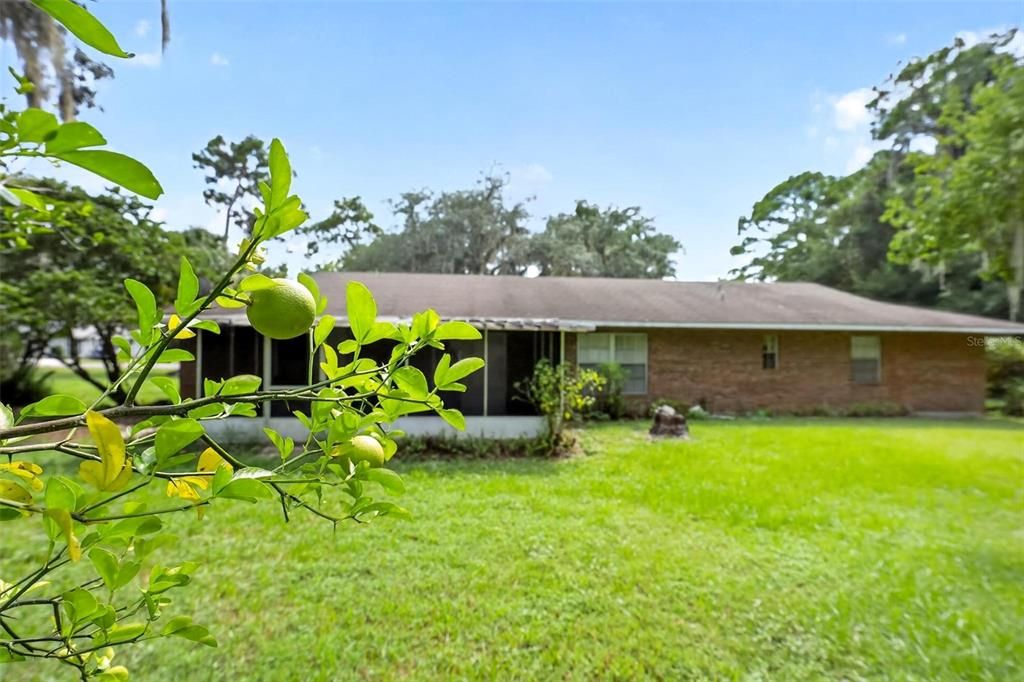 For Sale: $295,000 (3 beds, 2 baths, 1659 Square Feet)