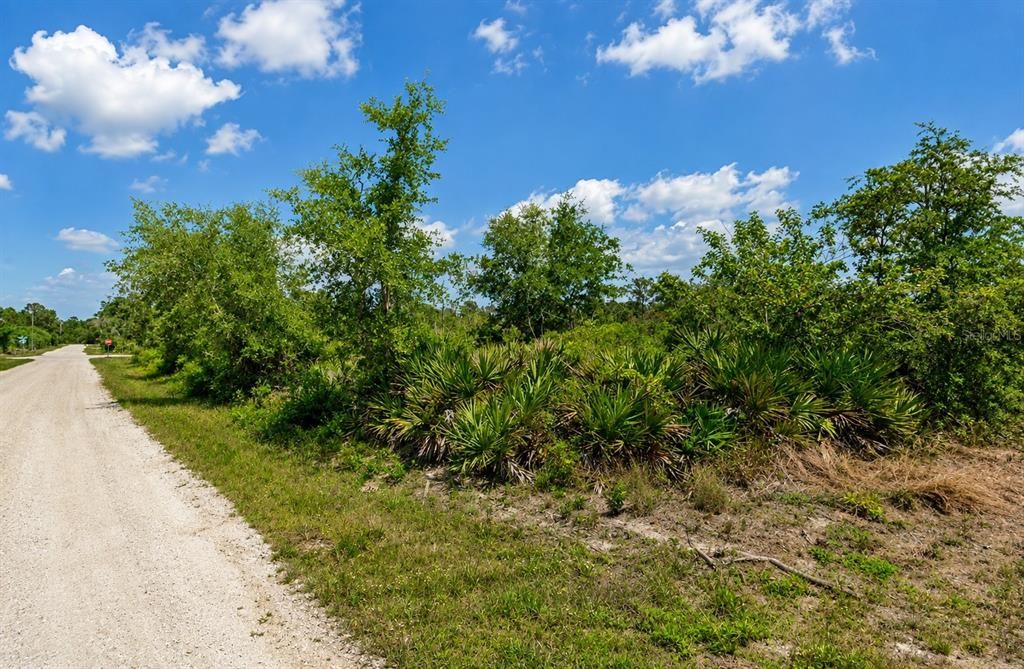 На продажу: $20,000 (0.23 acres)