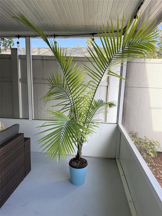 En Venta: $467,000 (3 camas, 2 baños, 1241 Pies cuadrados)