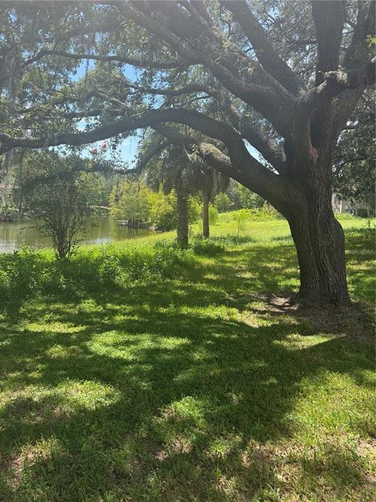 For Sale: $200,000 (0.25 acres)