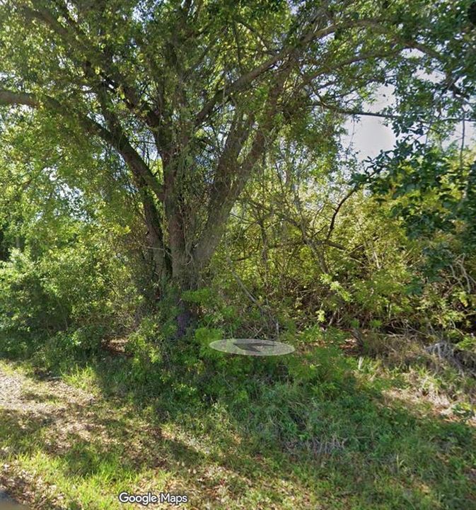 For Sale: $48,000 (0.46 acres)
