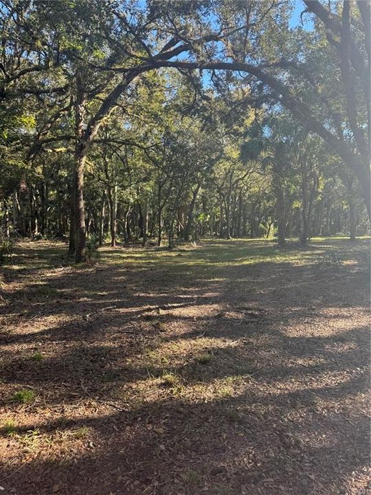 For Sale: $399,000 (12.89 acres)