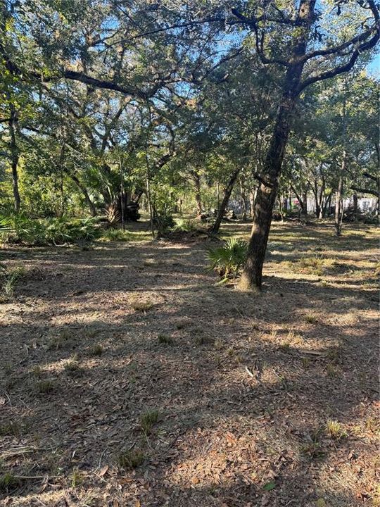 For Sale: $399,000 (12.89 acres)