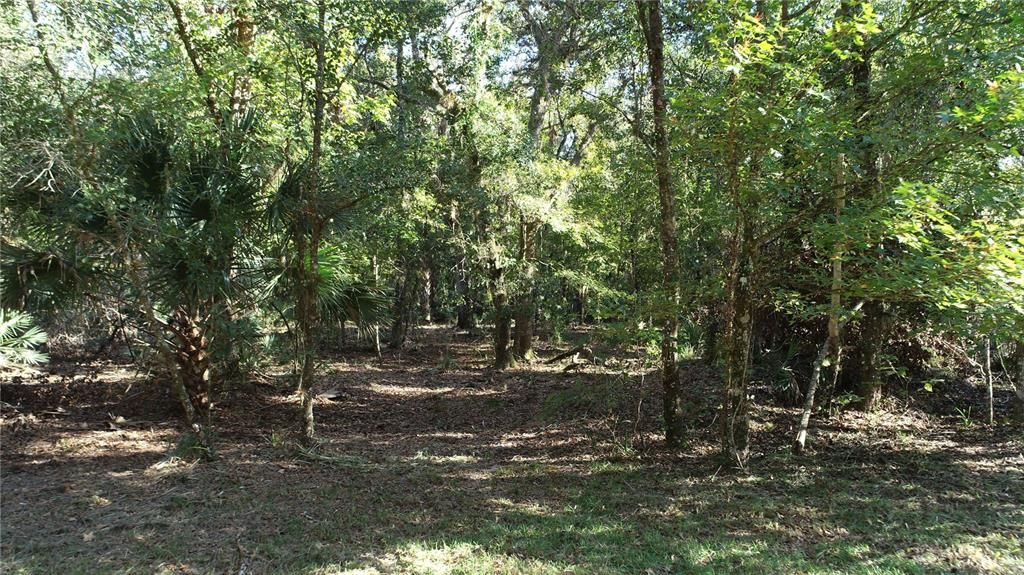 For Sale: $399,000 (12.89 acres)