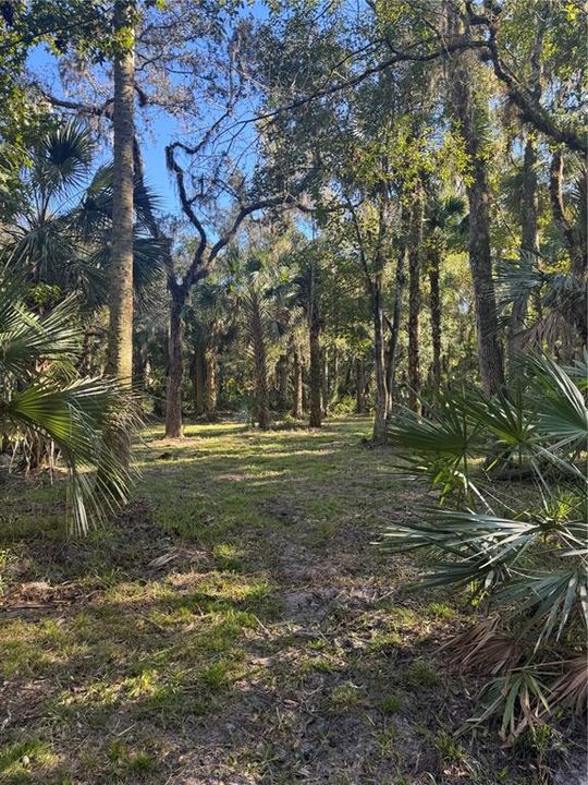 For Sale: $399,000 (12.89 acres)