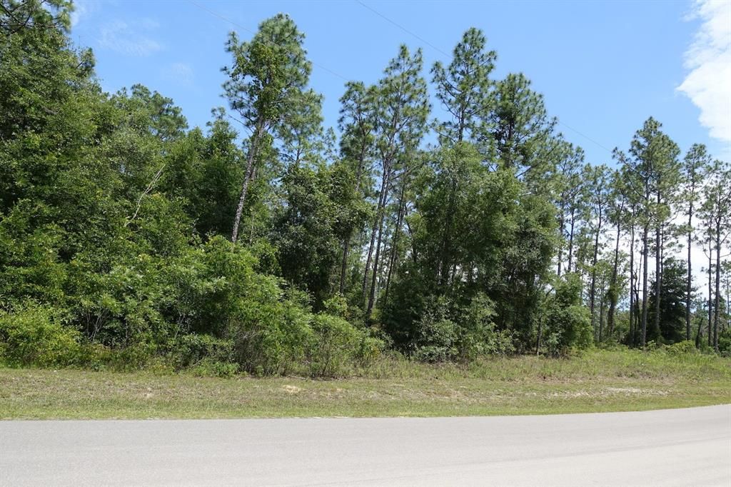 For Sale: $24,500 (0.23 acres)